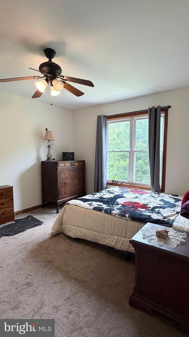 170 Lenora Lane photo 25