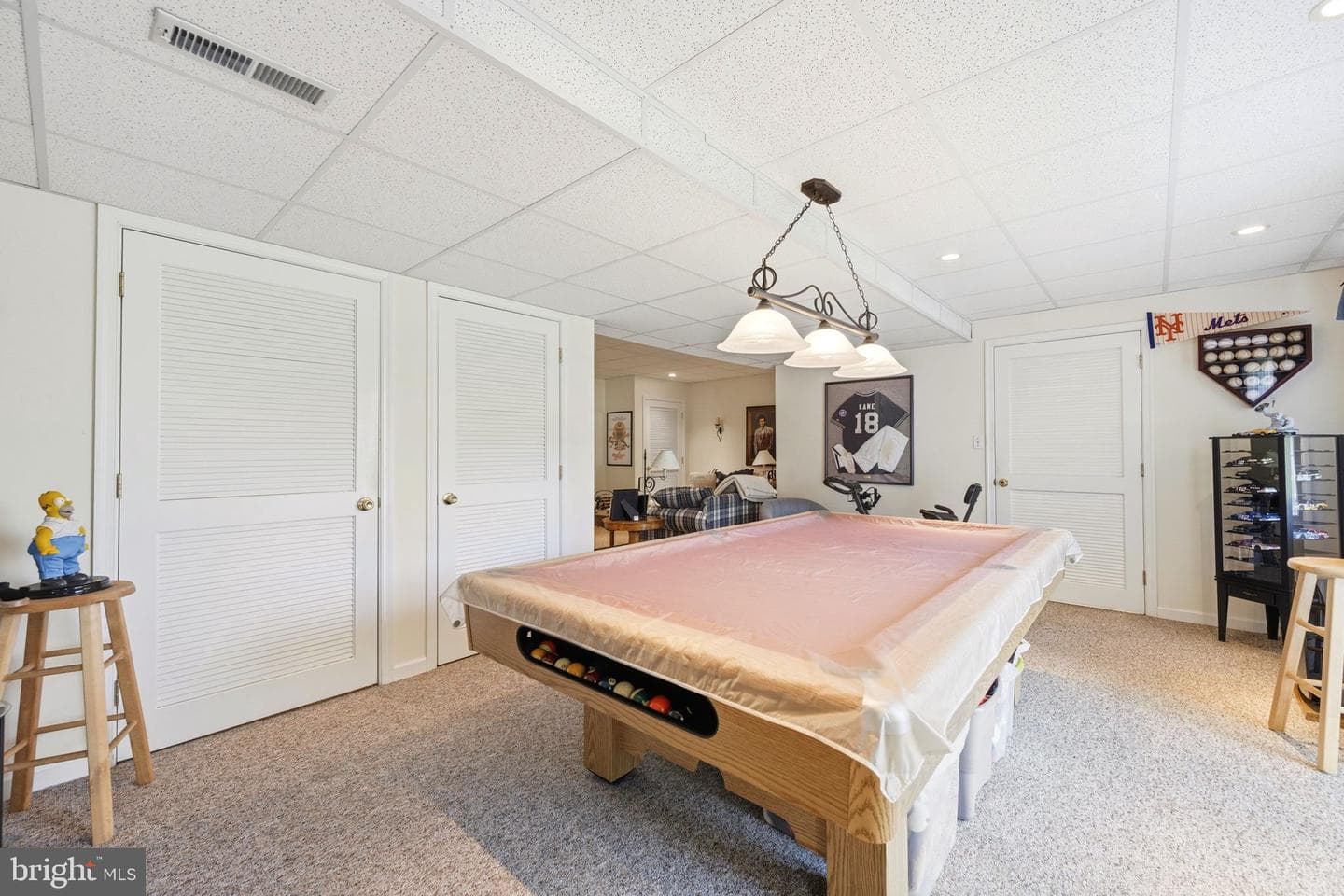 101 White Doe Drive photo 65