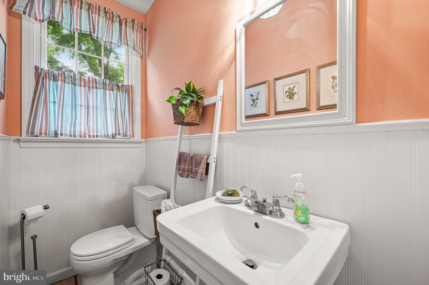 905 Warrior Road photo 12