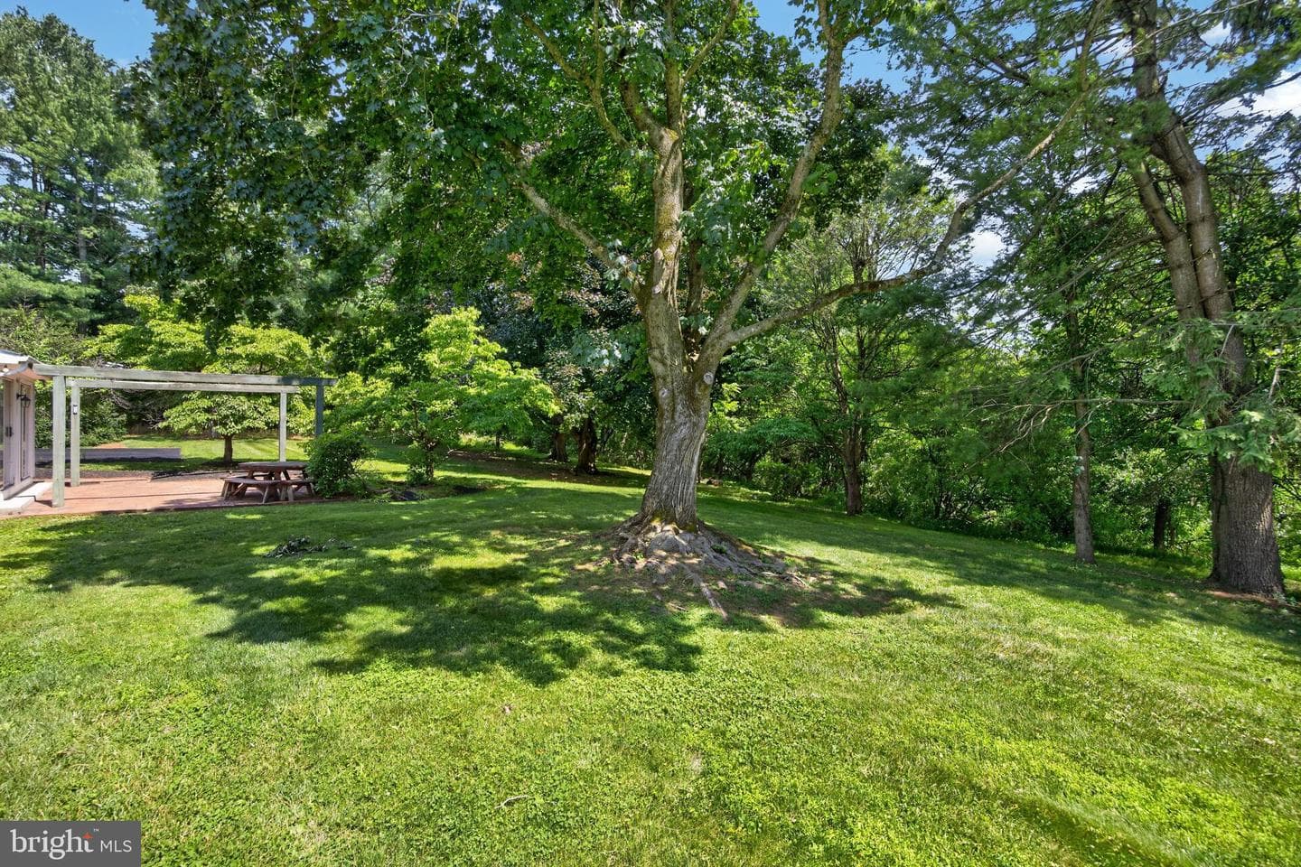 555 Country Club Road photo 41