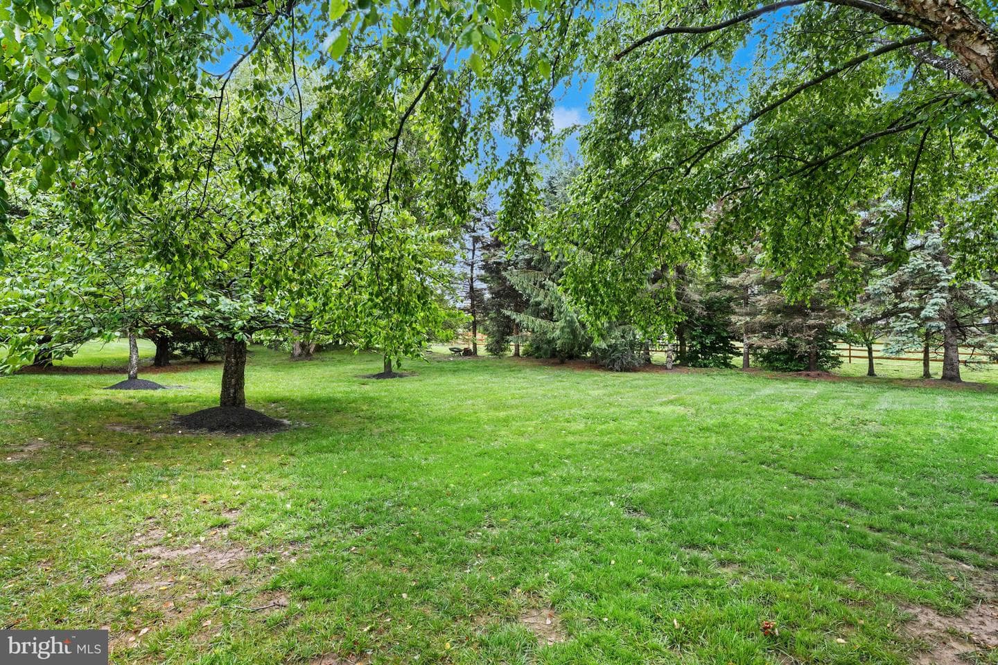 183 Pembrooke Circle photo 38