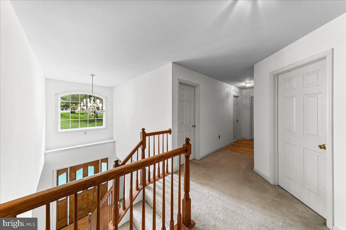 186 White Doe Drive photo 18