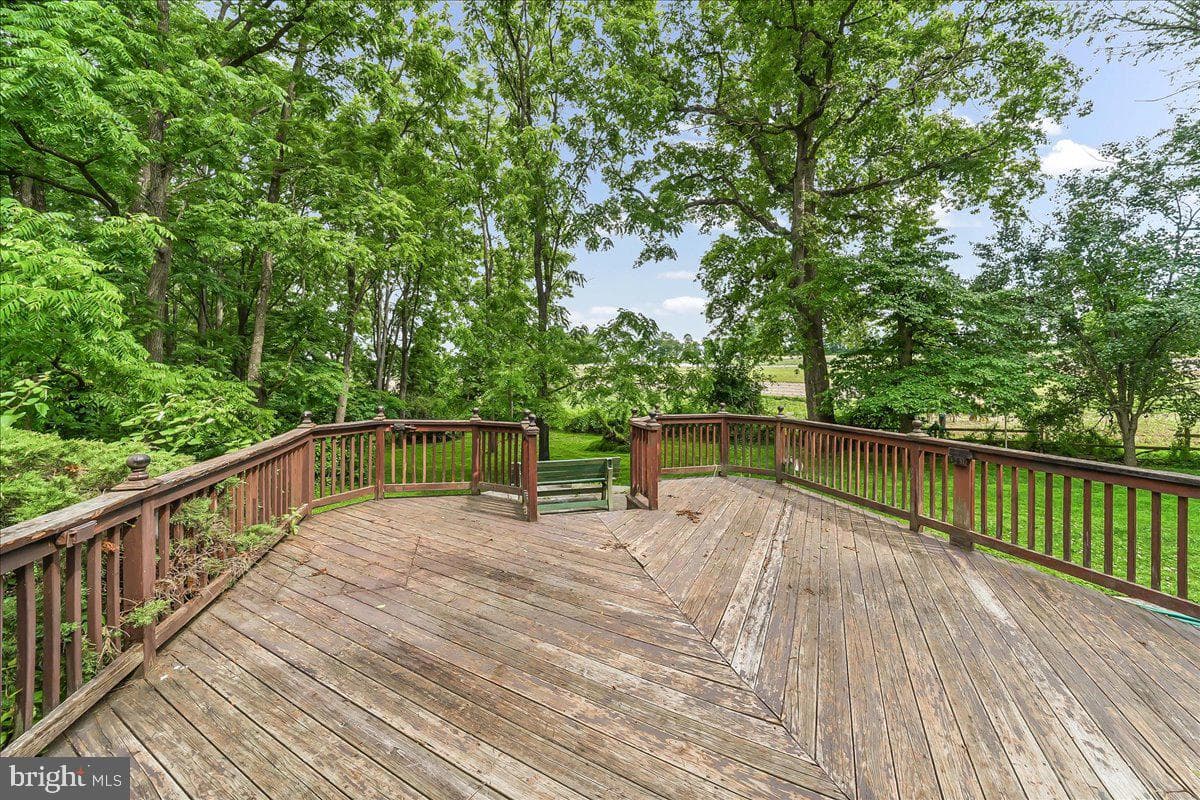 186 White Doe Drive photo 5