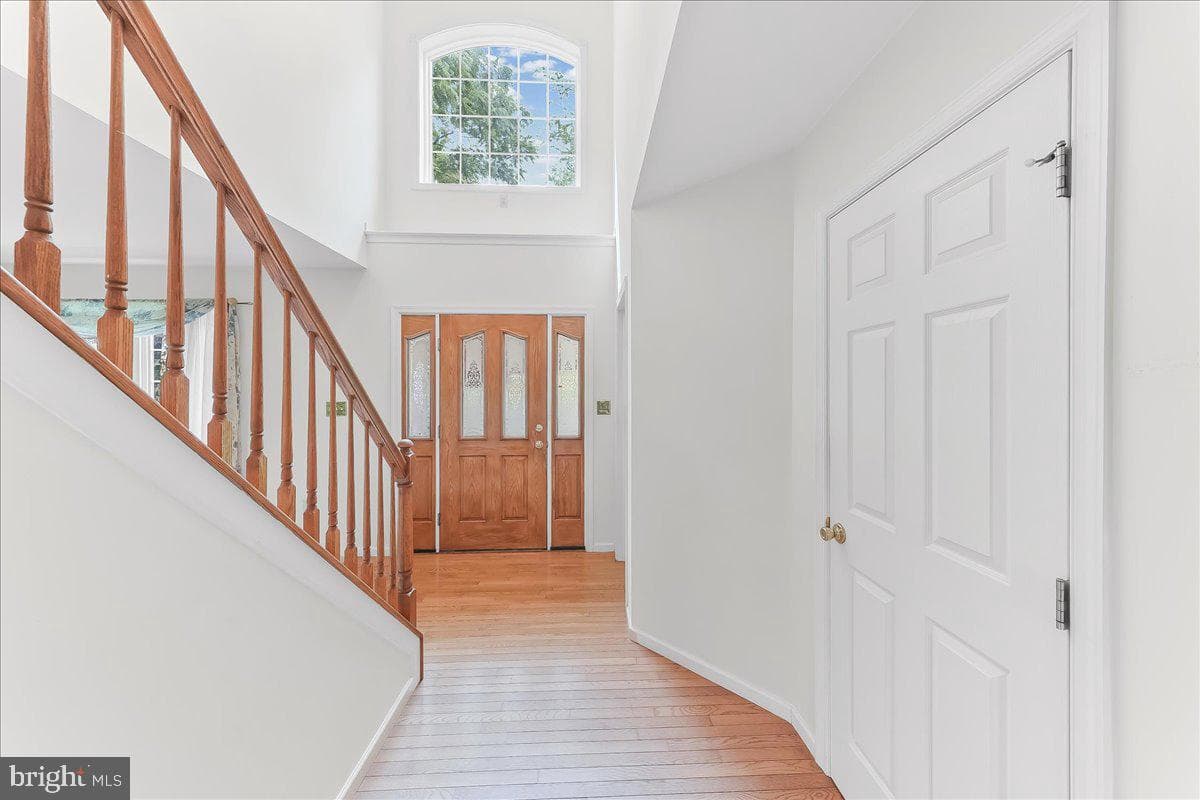 186 White Doe Drive photo 6