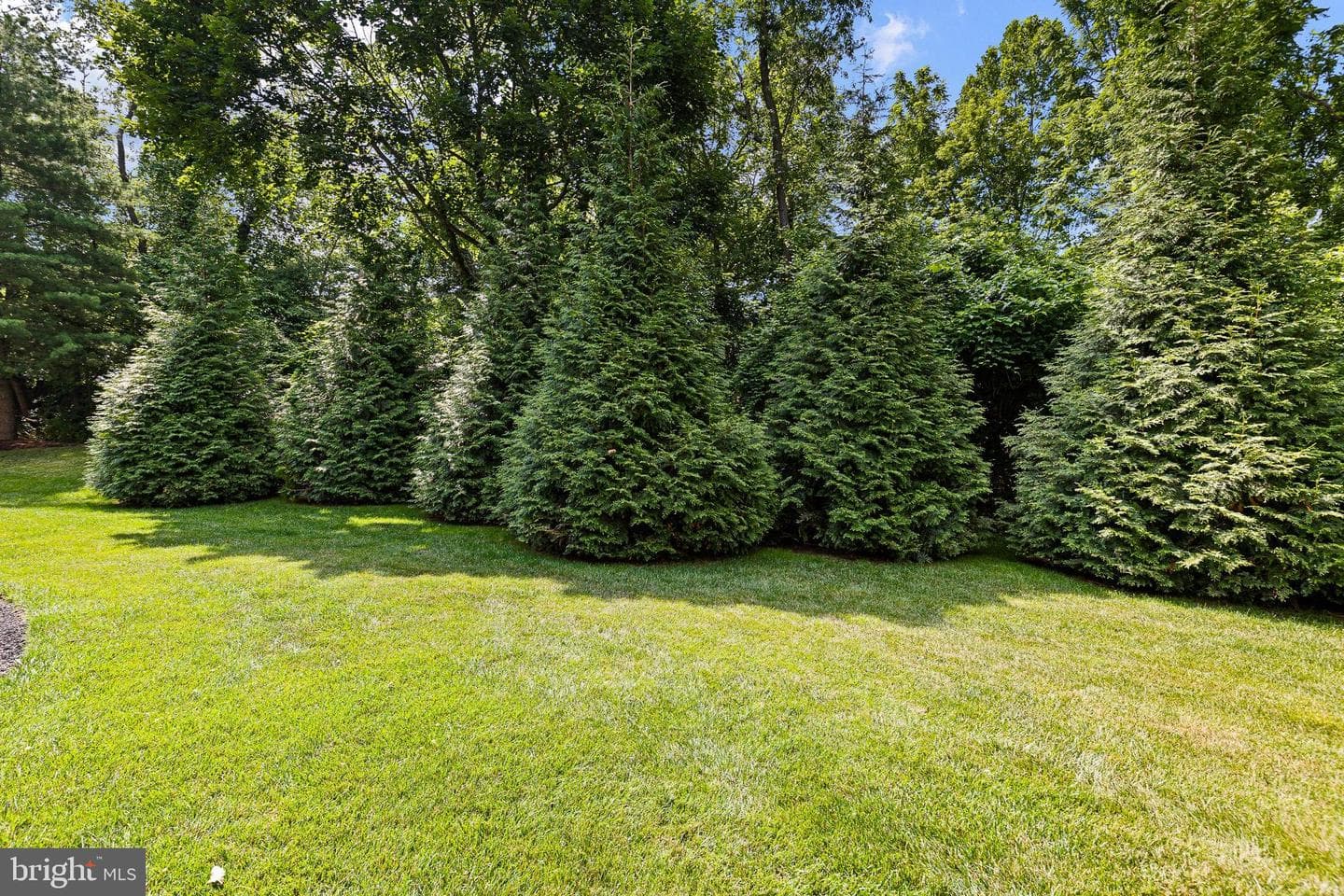 284 Cherry Lane #36 photo 29
