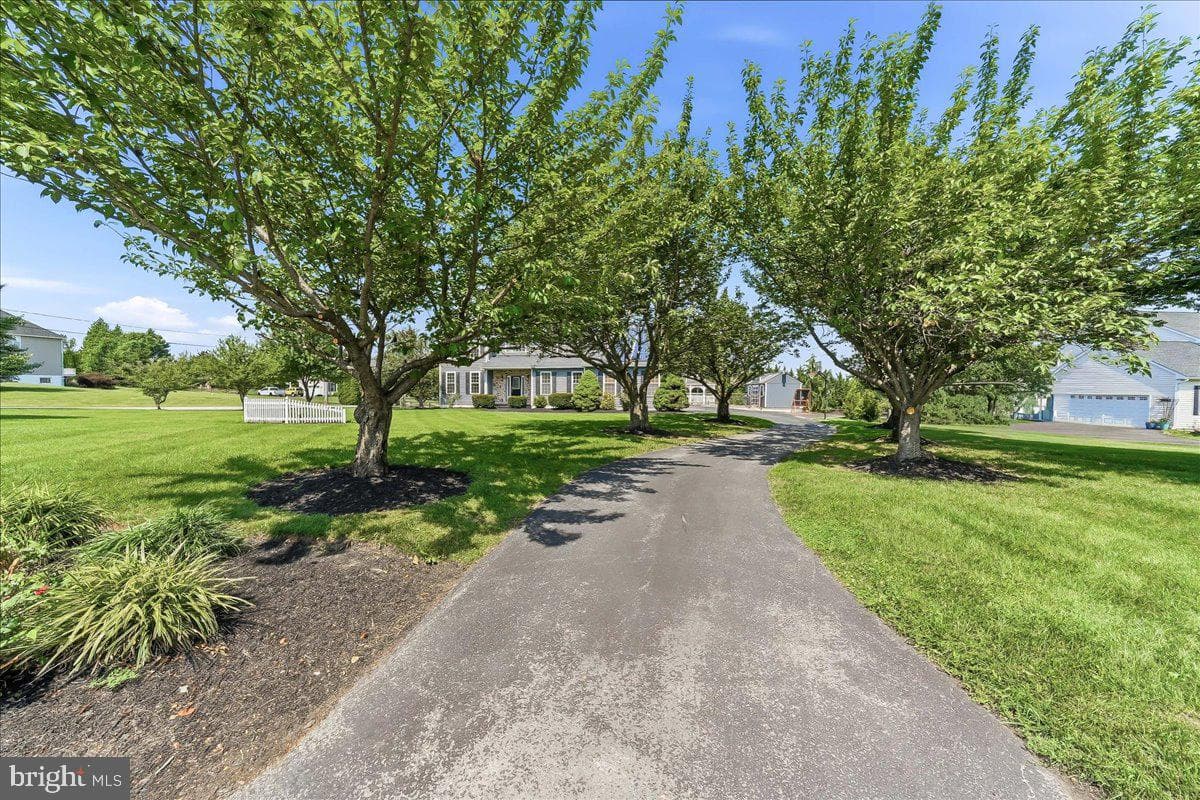 206 Crimson Drive photo 2