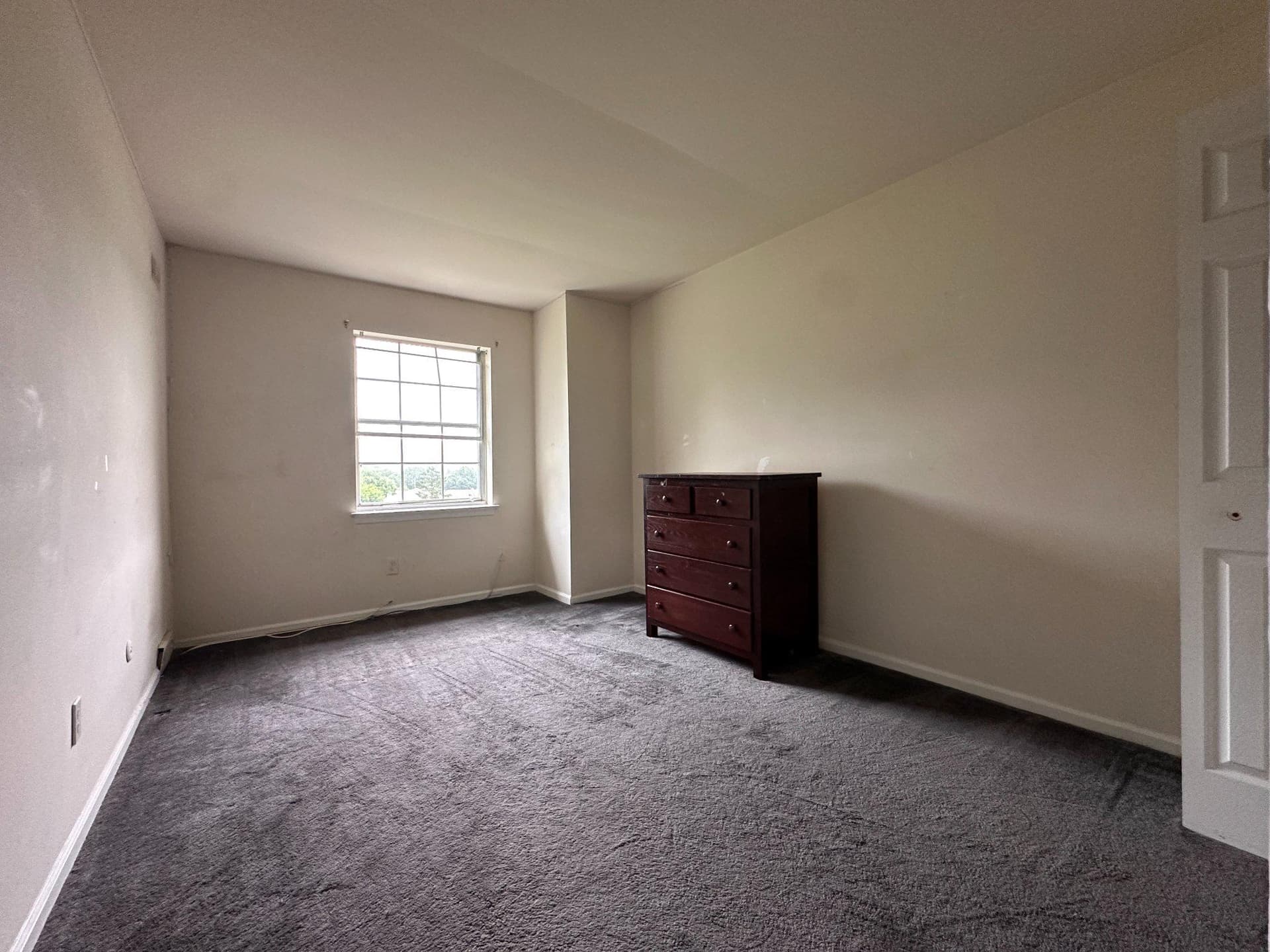 341 Kidwelly Court photo 21