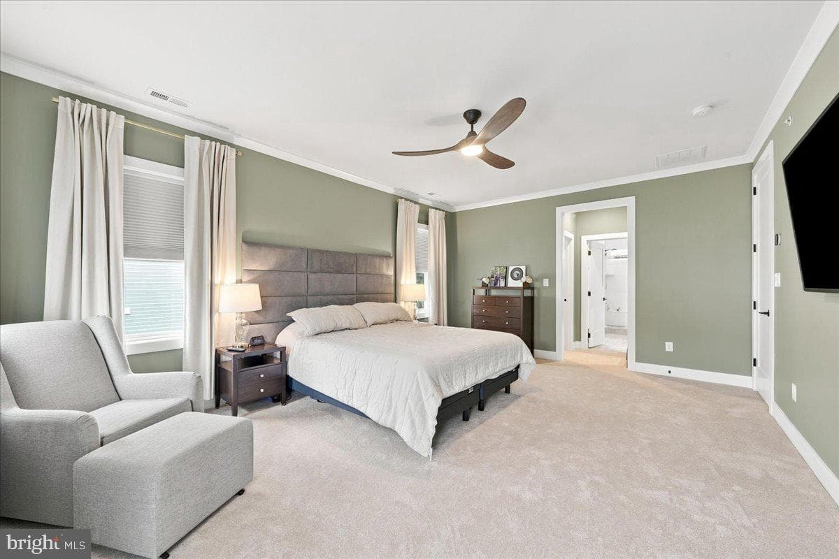 223 Lily Lane photo 22