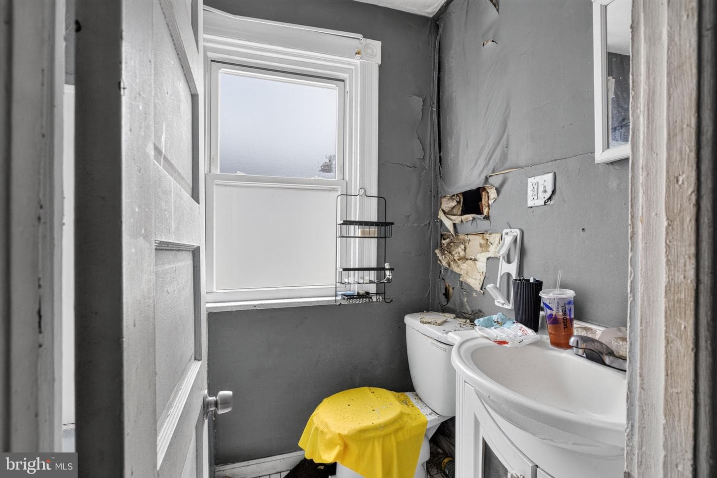 560 Coates Street photo 20