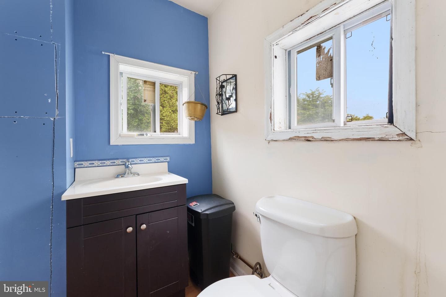 47 Walnut Avenue photo 14