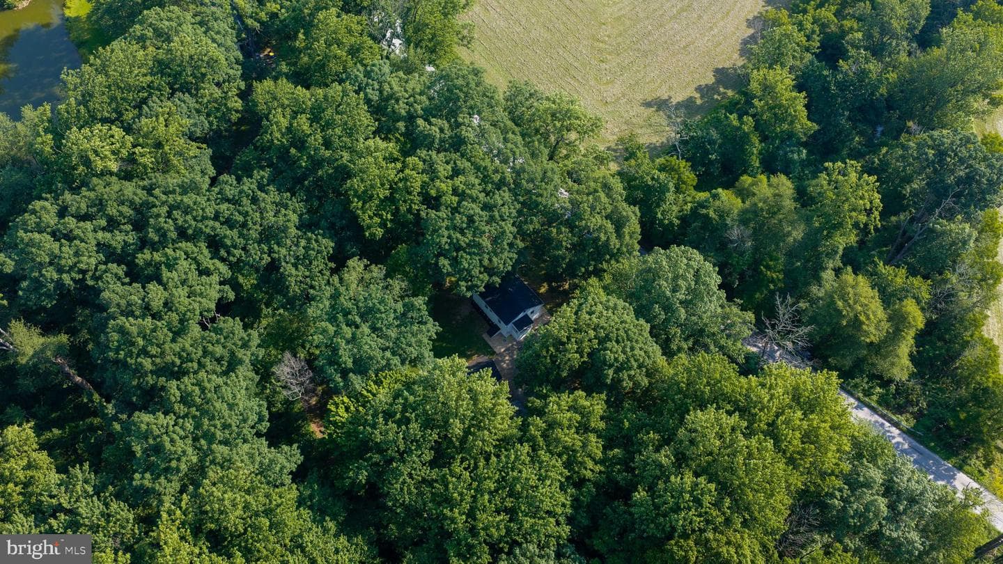 259 Compass Road photo 9