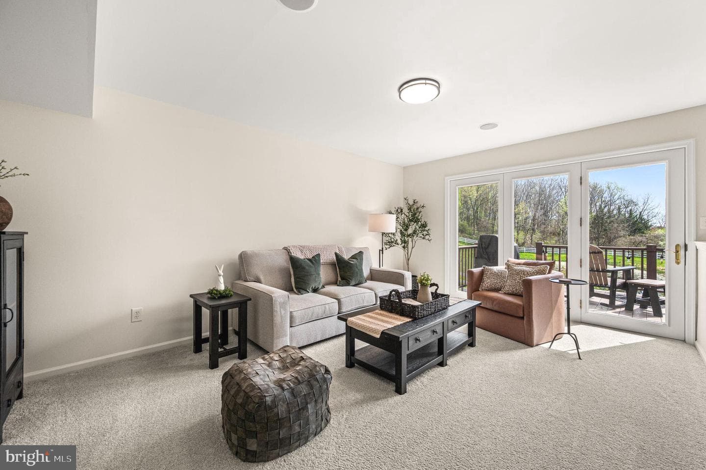 48 Saddler Drive photo 16