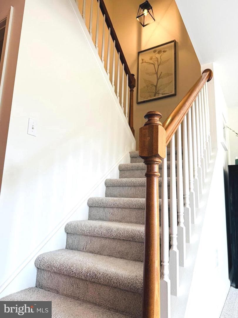 48 Saddler Drive photo 19