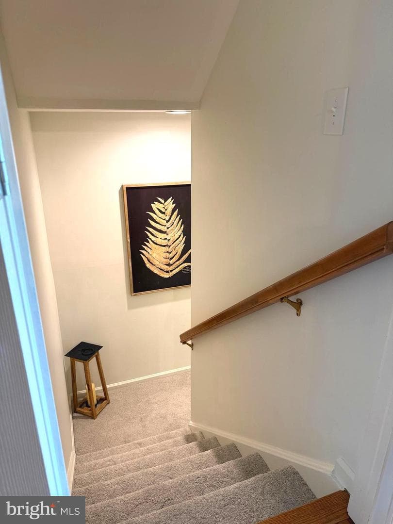48 Saddler Drive photo 31