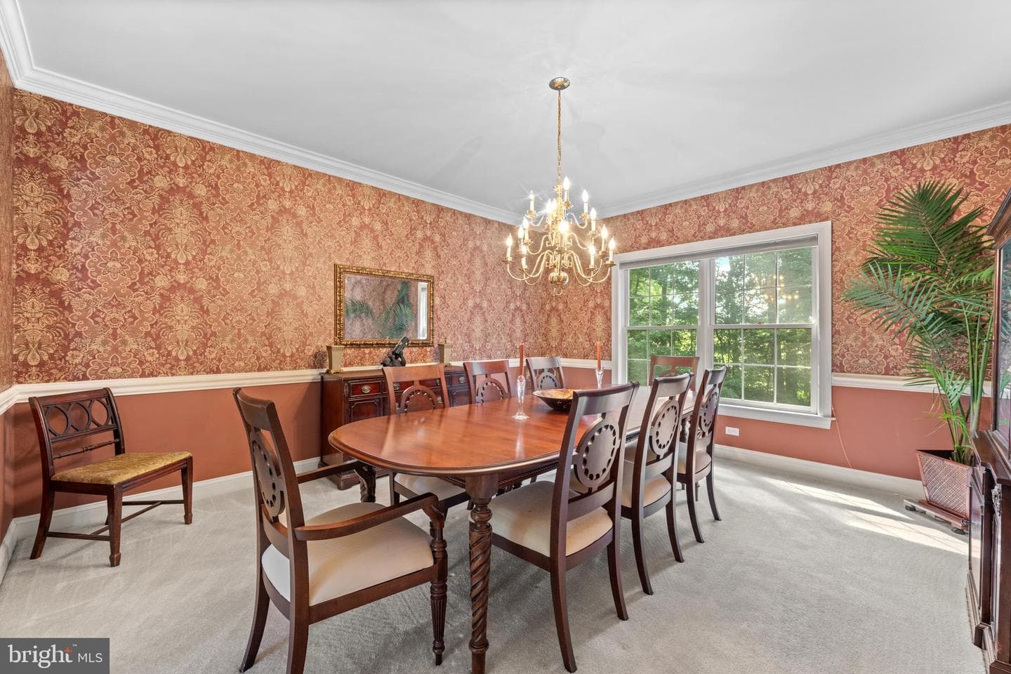 14 Mourar Drive photo 11