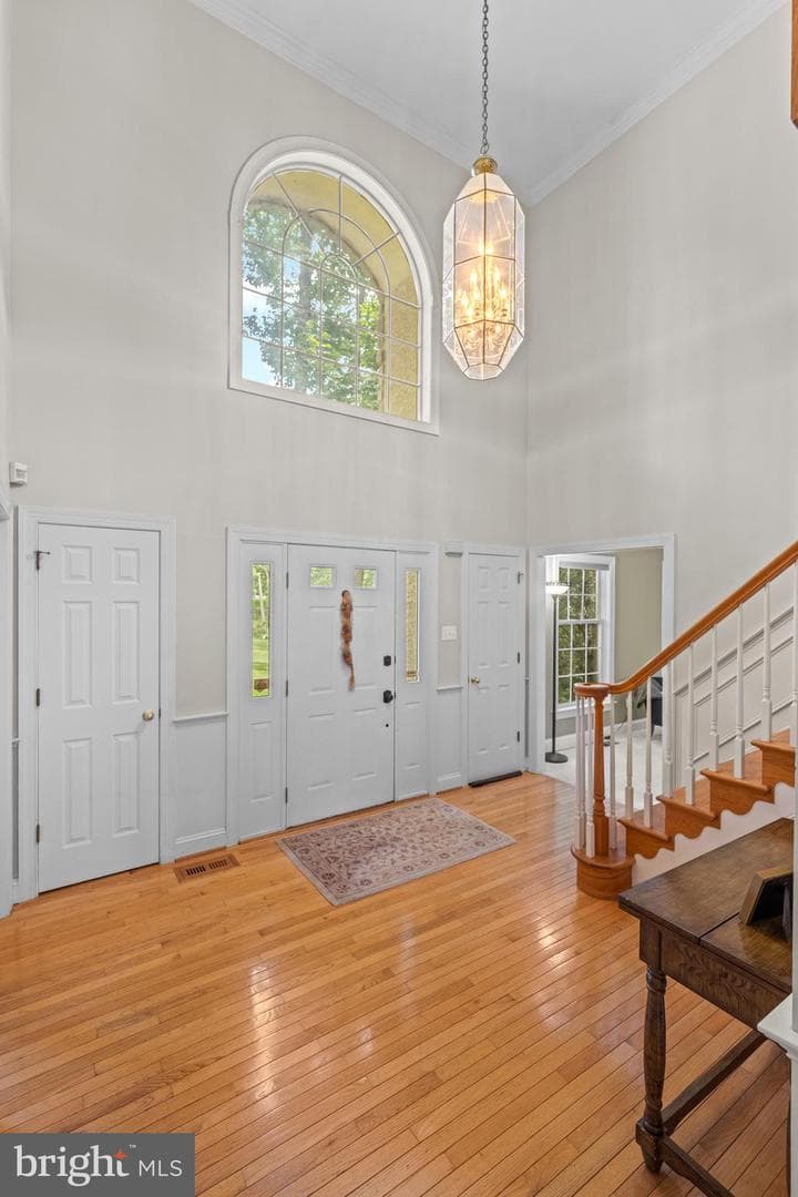 14 Mourar Drive photo 28