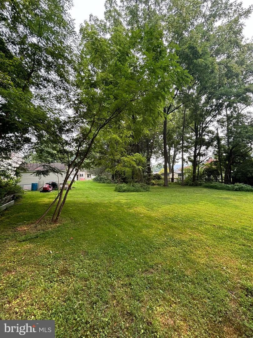 250 Watson Avenue photo 42