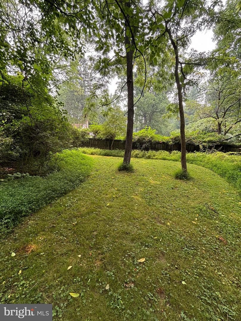250 Watson Avenue photo 46