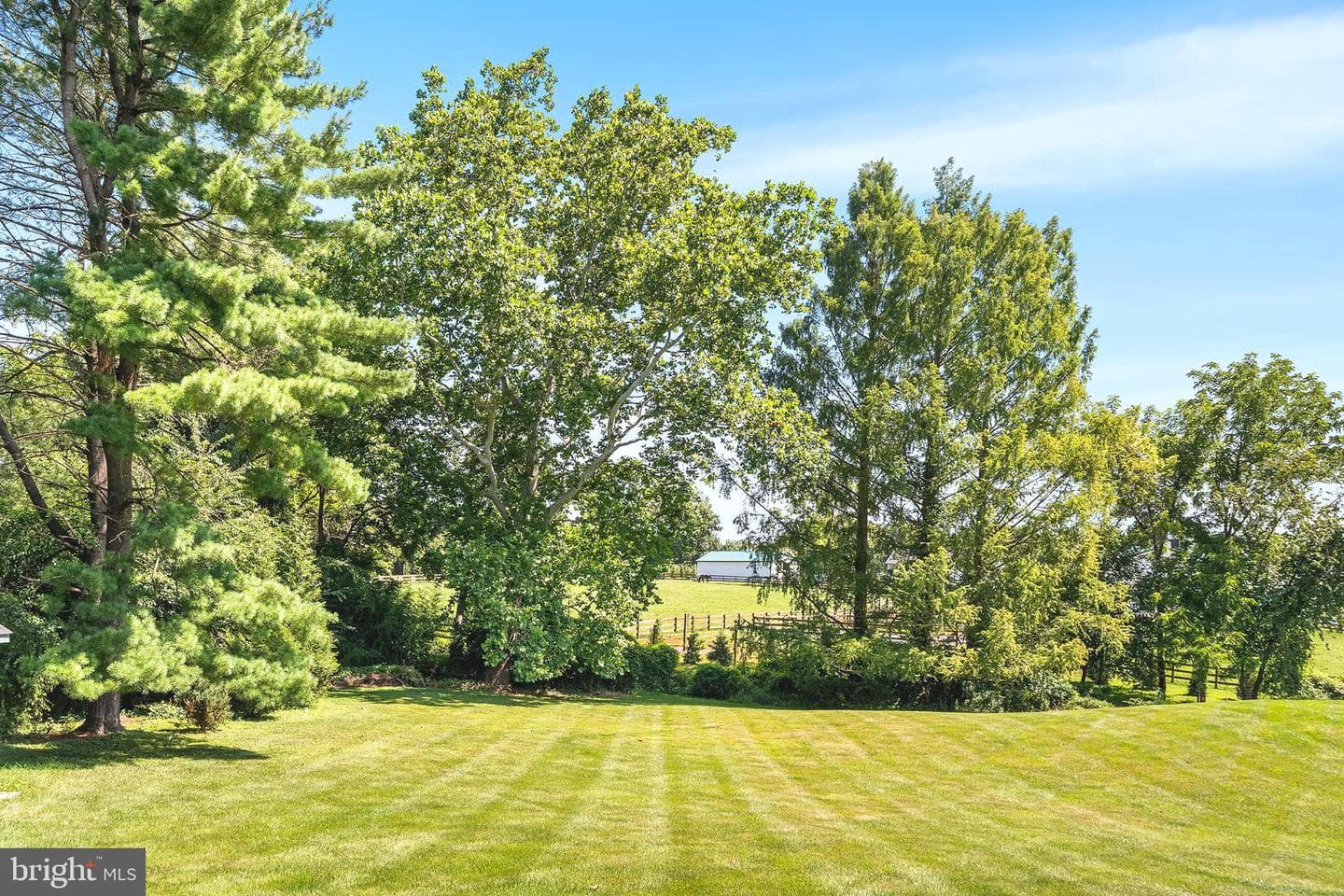1173 Shadow Oak Drive photo 36