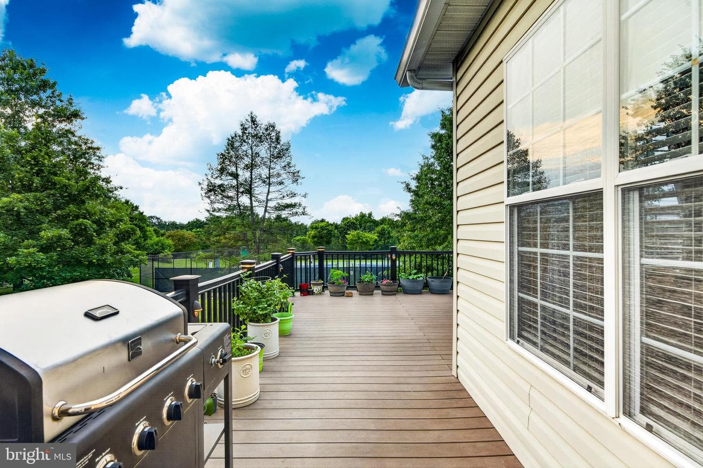 247 Silverbell Court photo 48