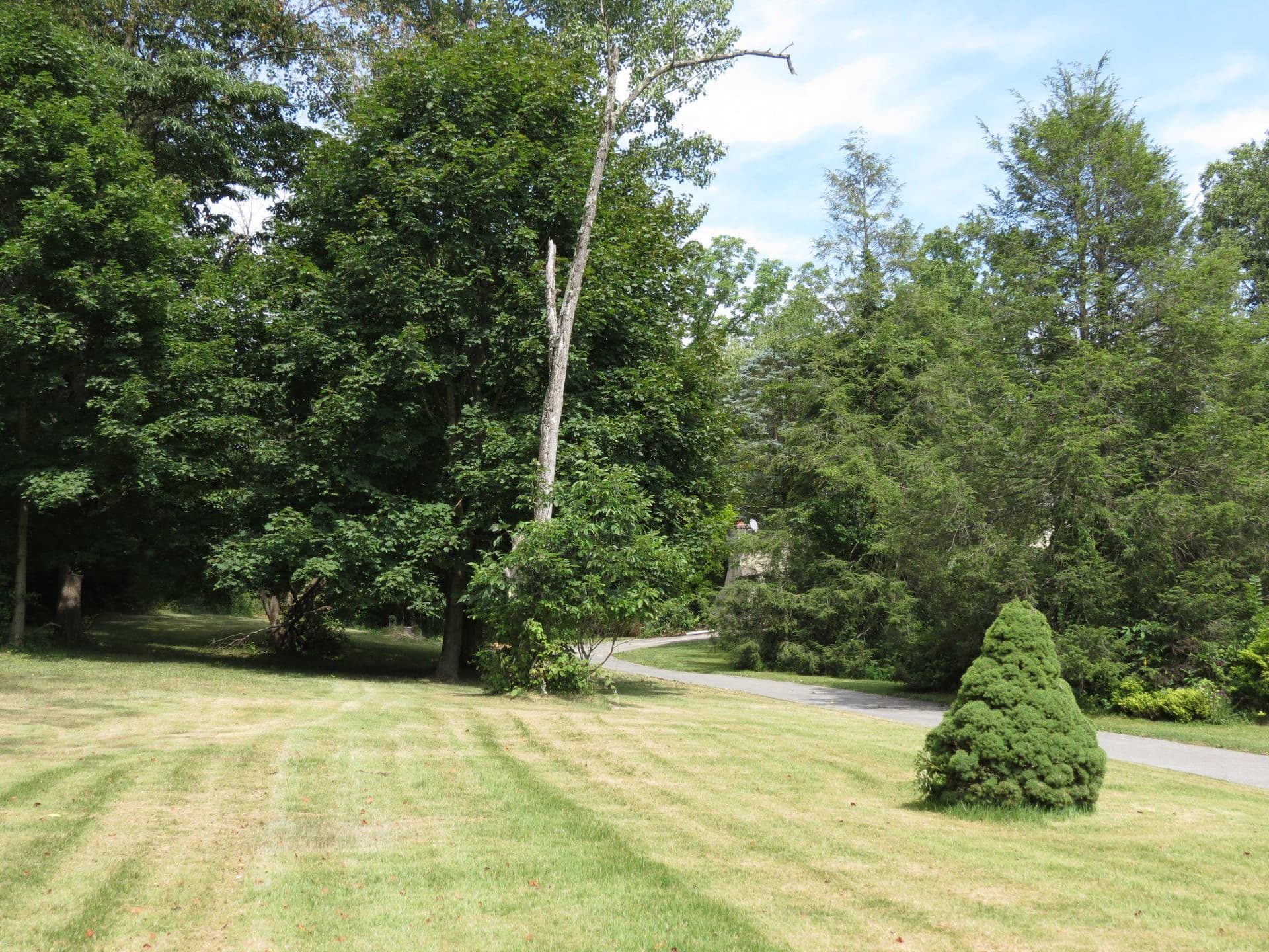 1200 N Manor Road photo 6