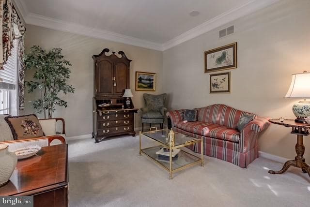 431 Pierce Drive photo 10