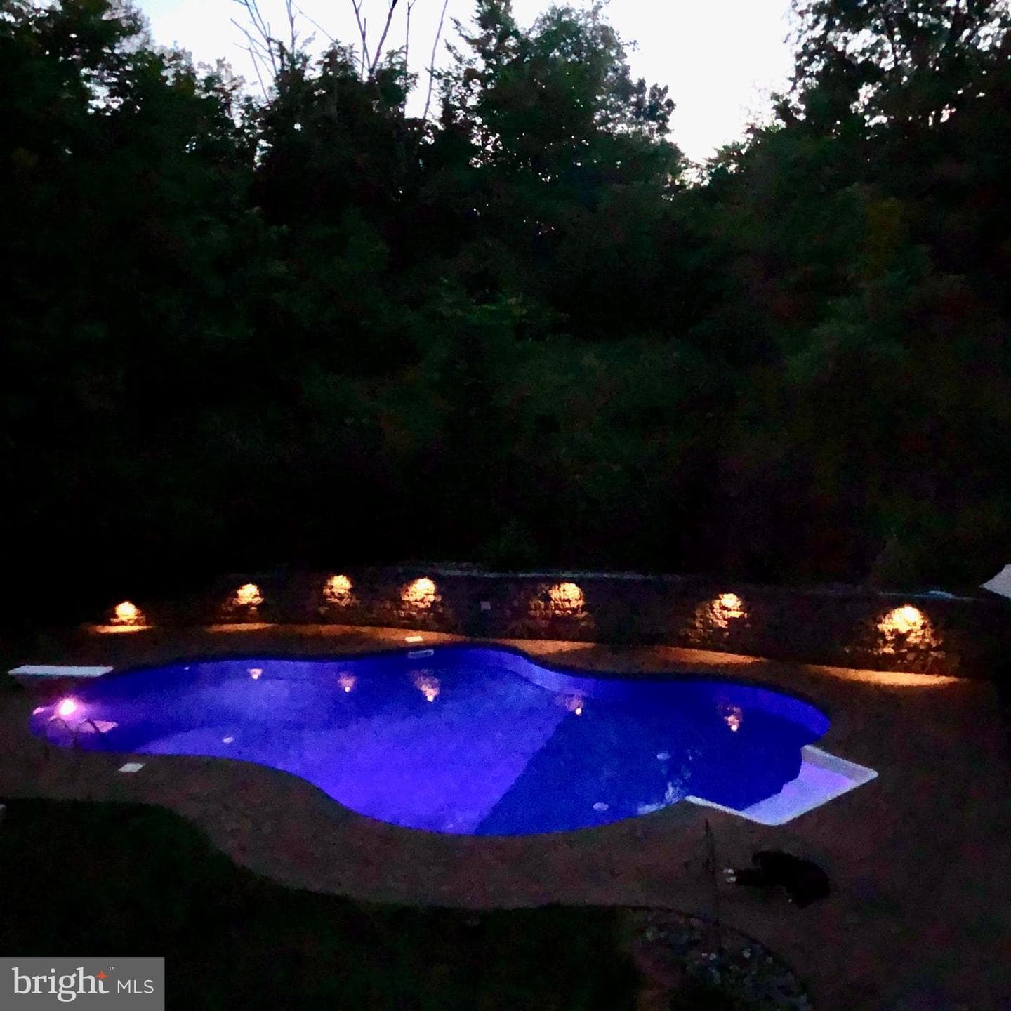 8 Beechwood Lane photo 56