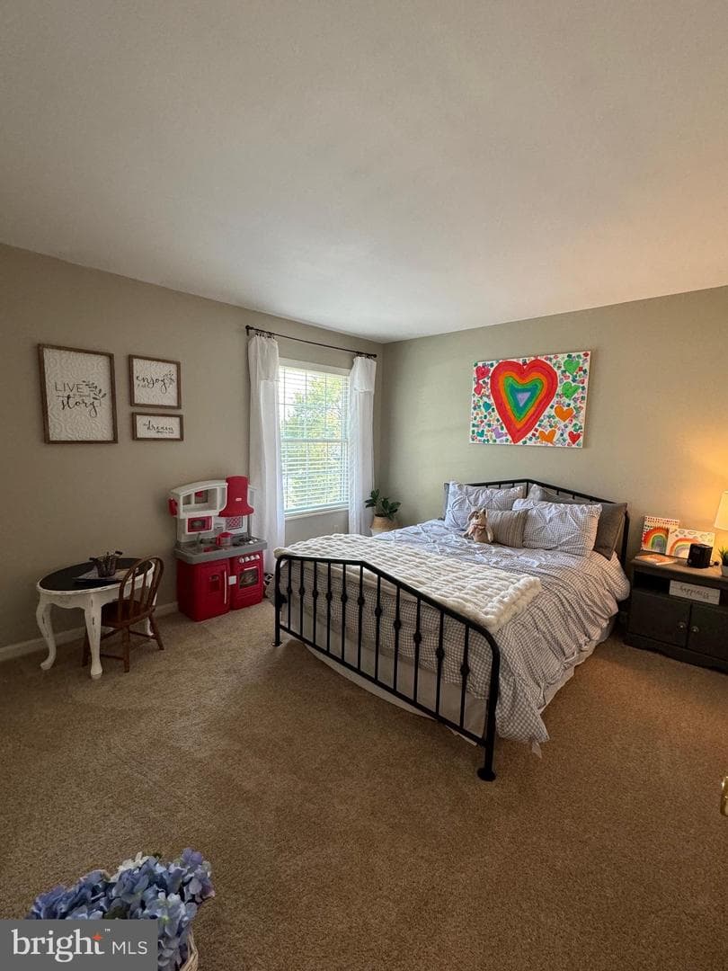 5920 Palmer Drive photo 35