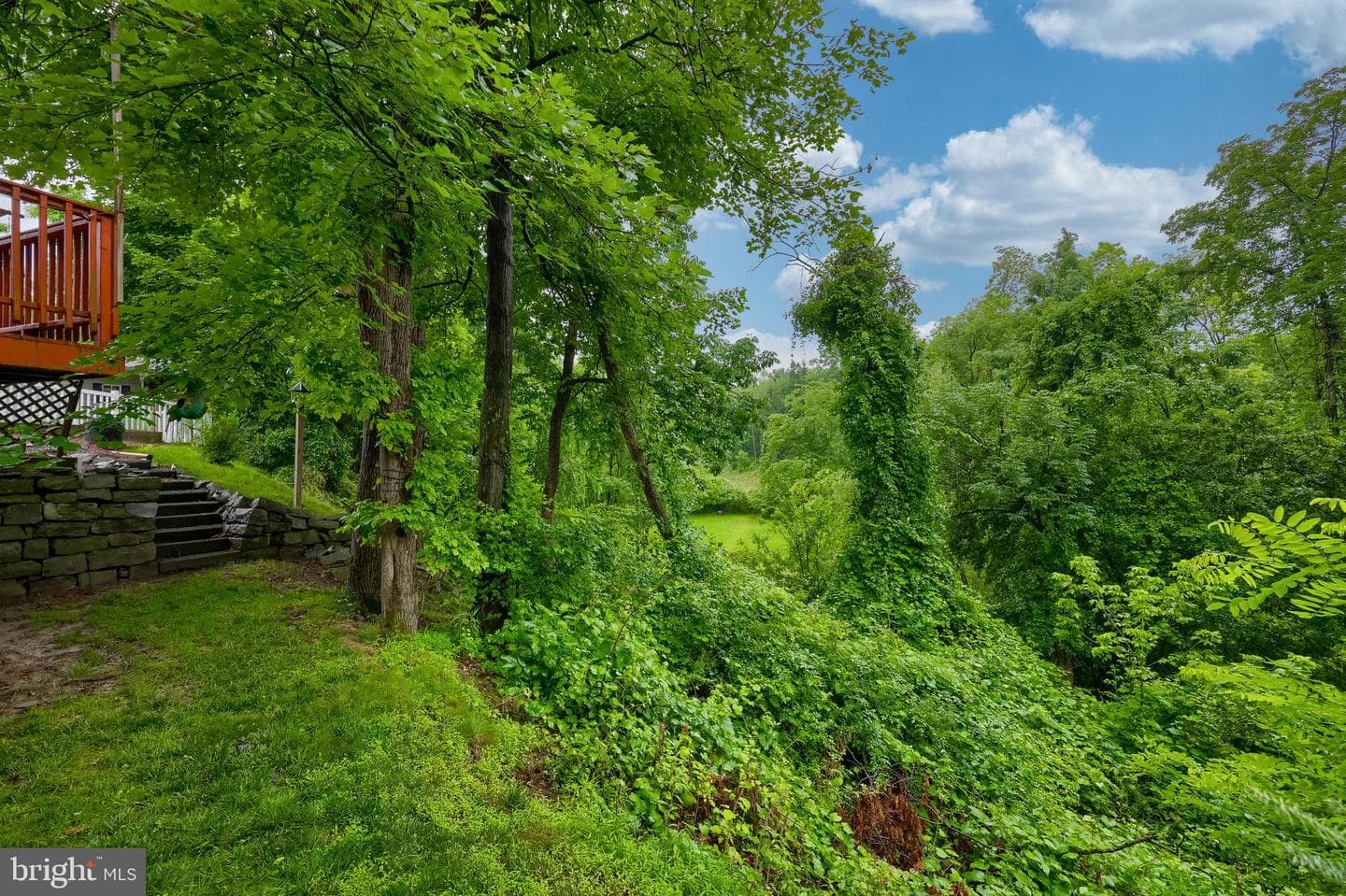 108 Woodridge Drive photo 68