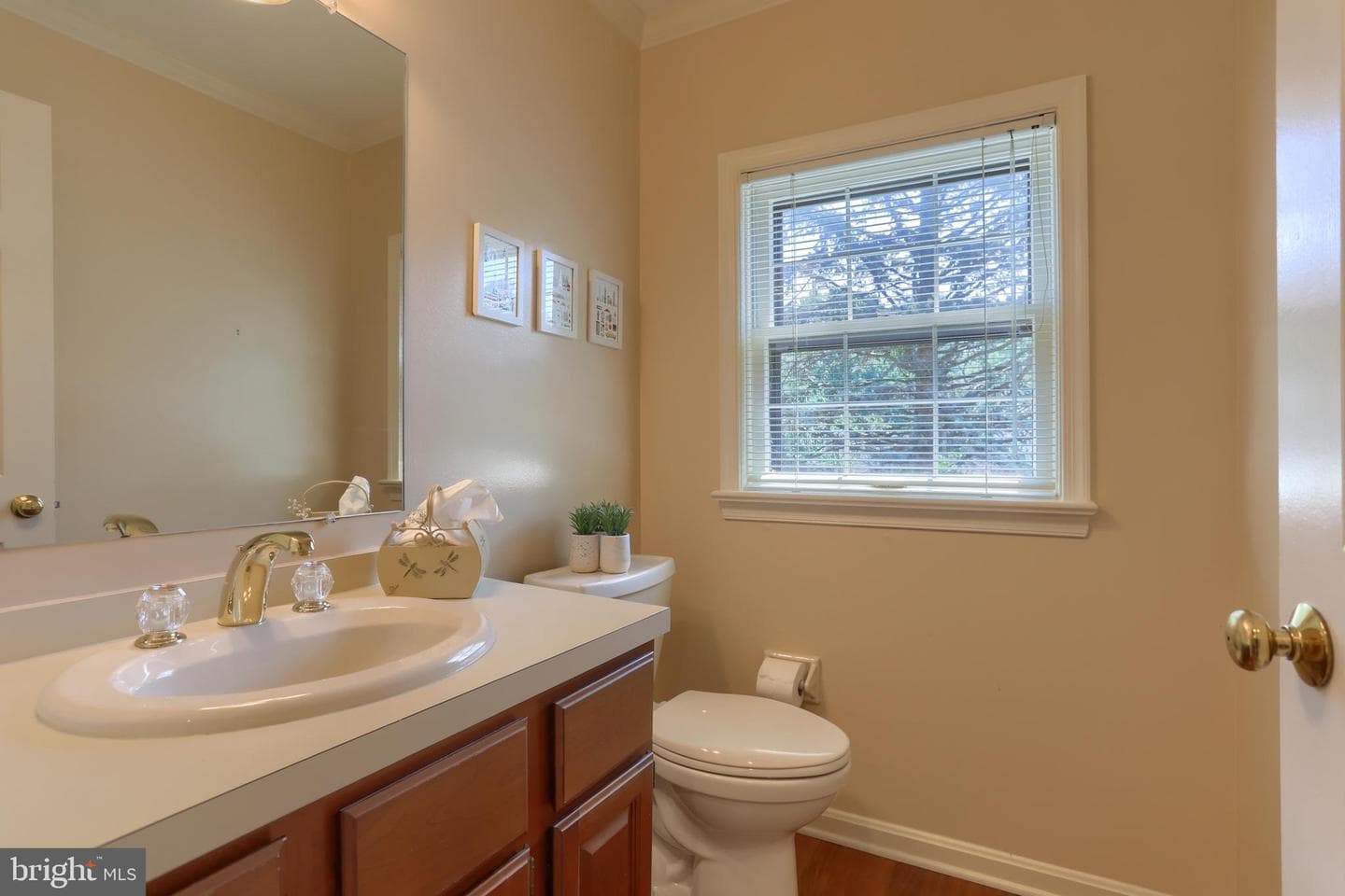 1203 Galway Court photo 23