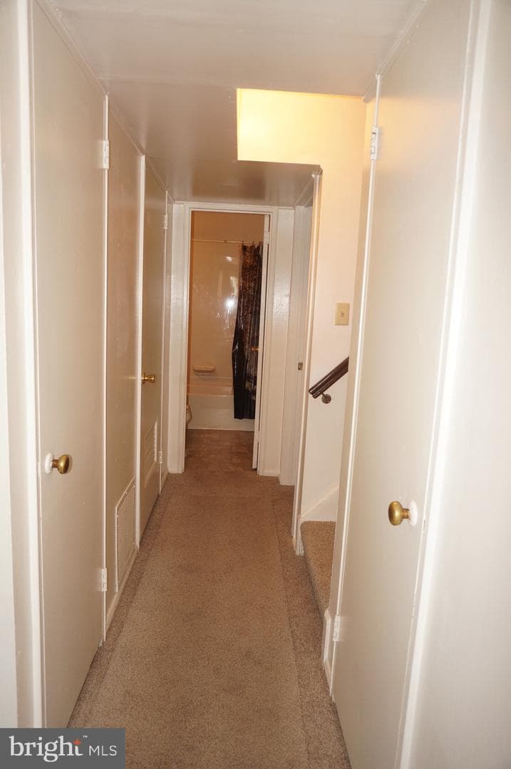 1052 Spruce Street photo 18
