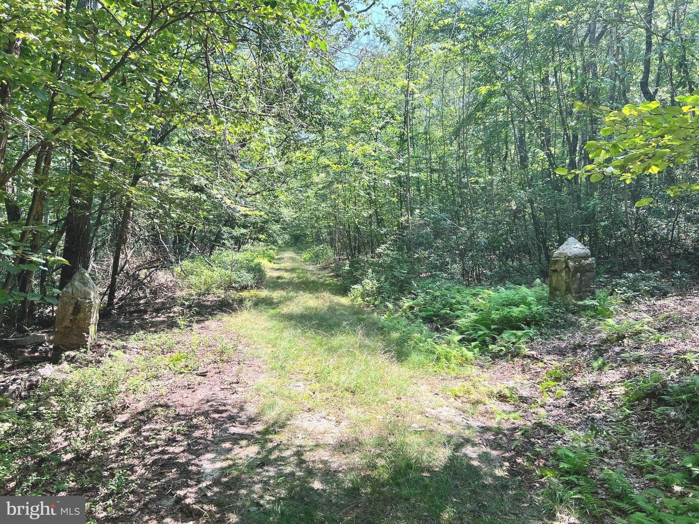 7732 State Route 209 photo 71