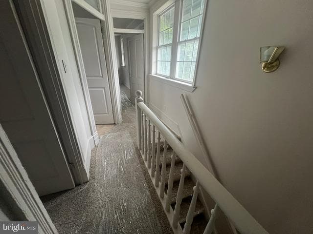 115 Balm Street photo 16