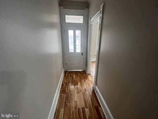 115 Balm Street photo 7