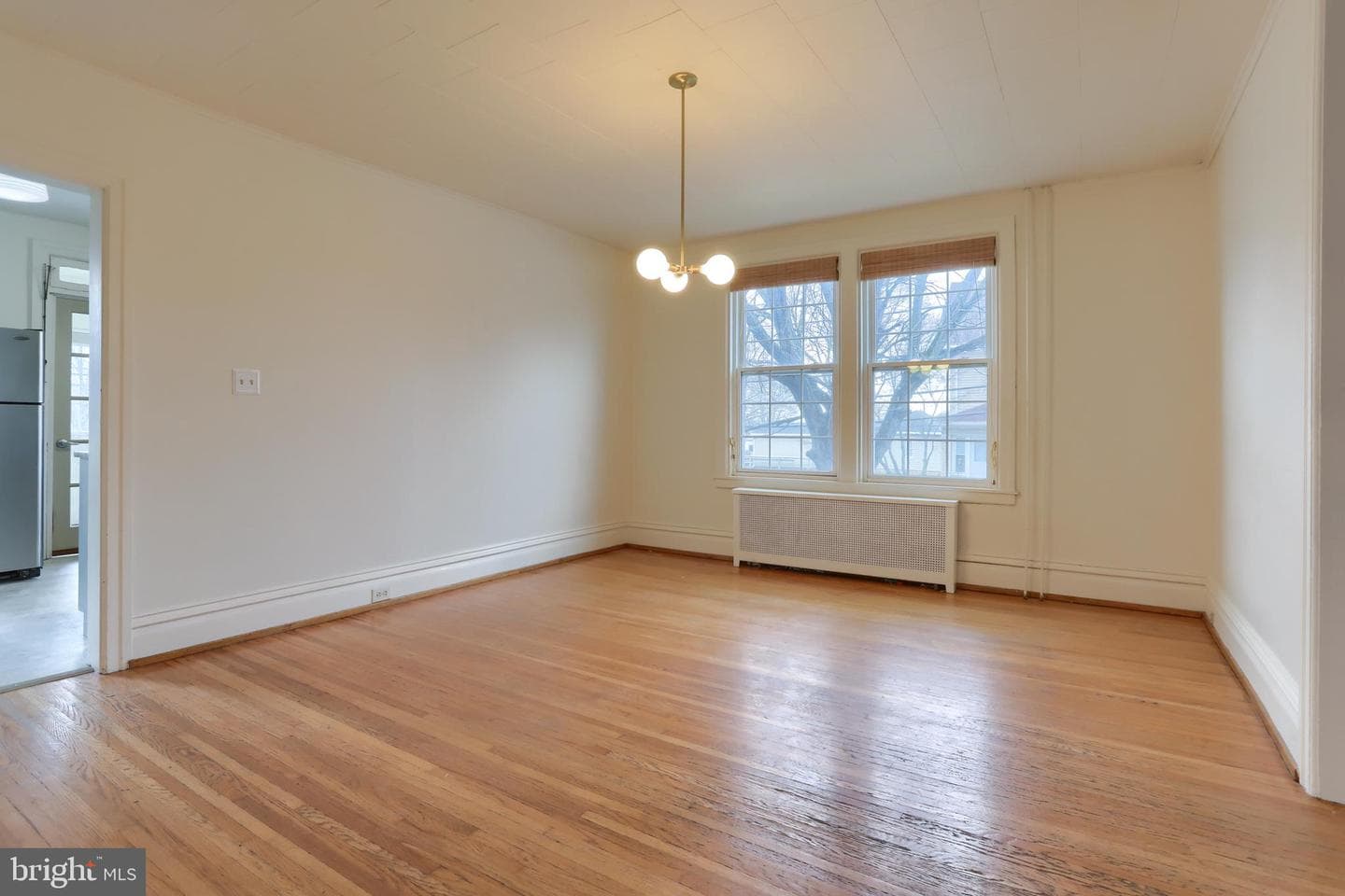 229 Cocoa Avenue photo 12
