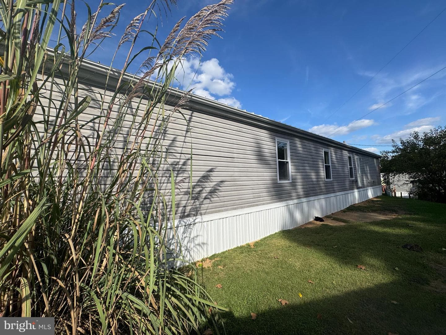 37 George Dr photo 3