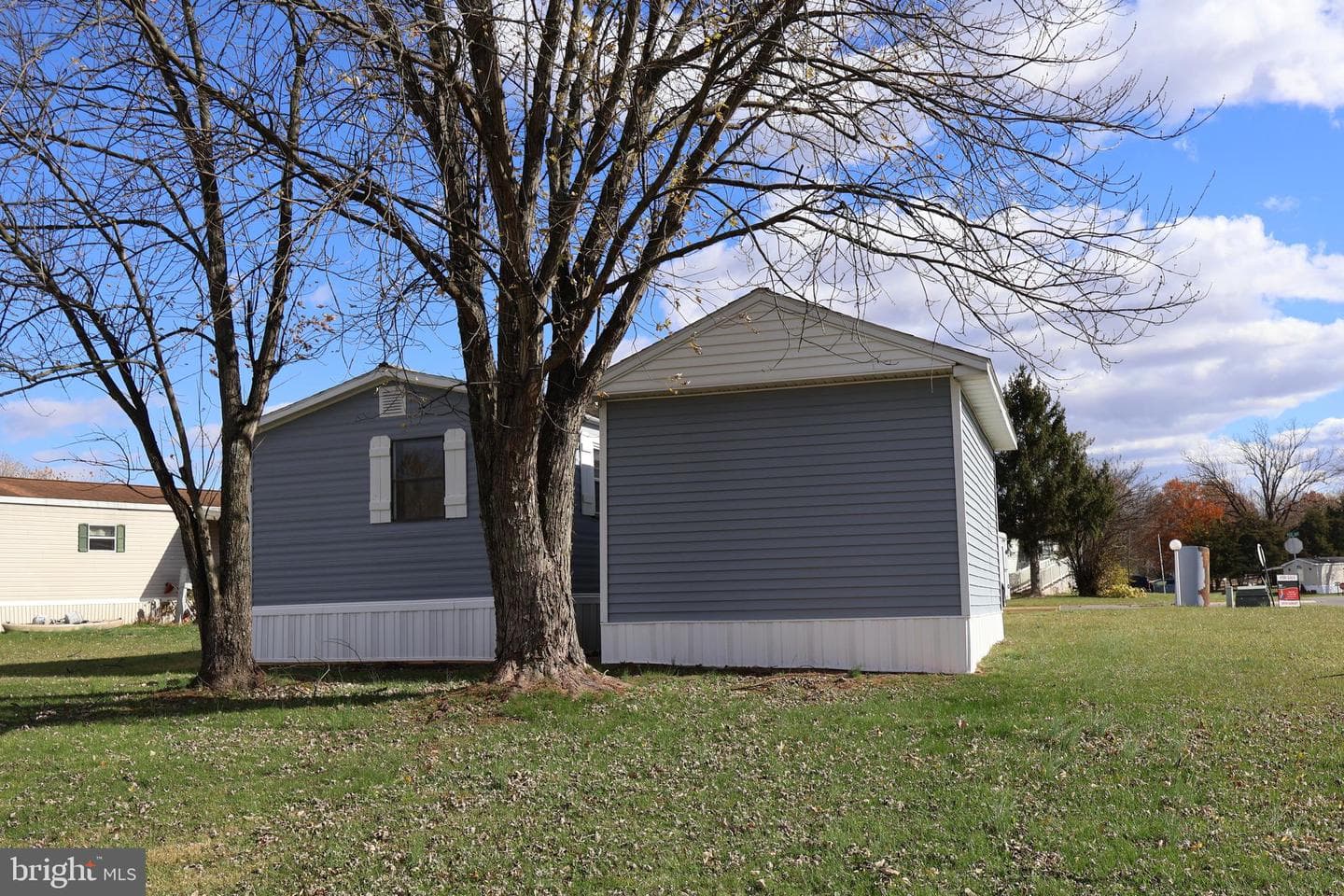 21 Rose Avenue photo 5