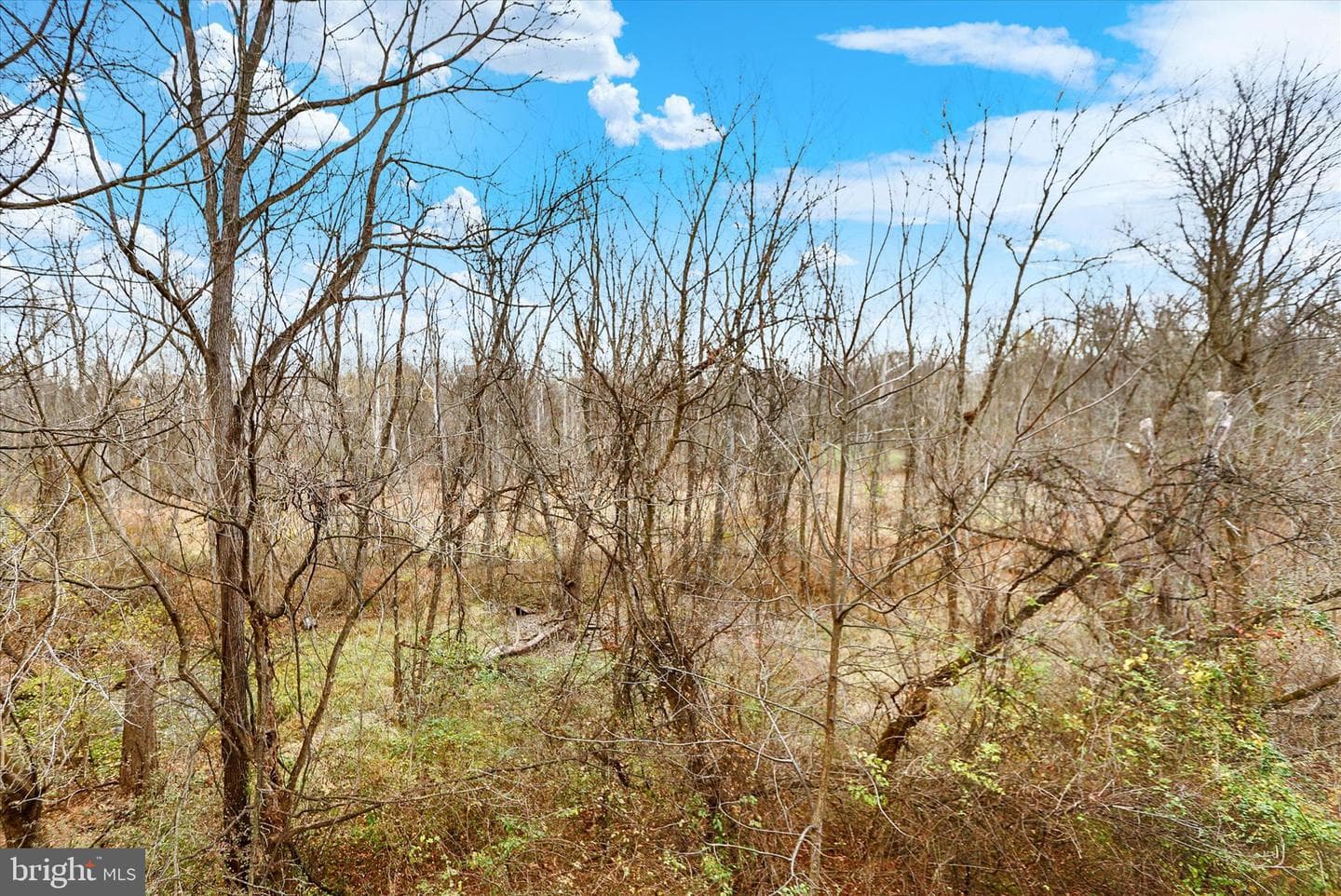 9089 Joyce Lane photo 41