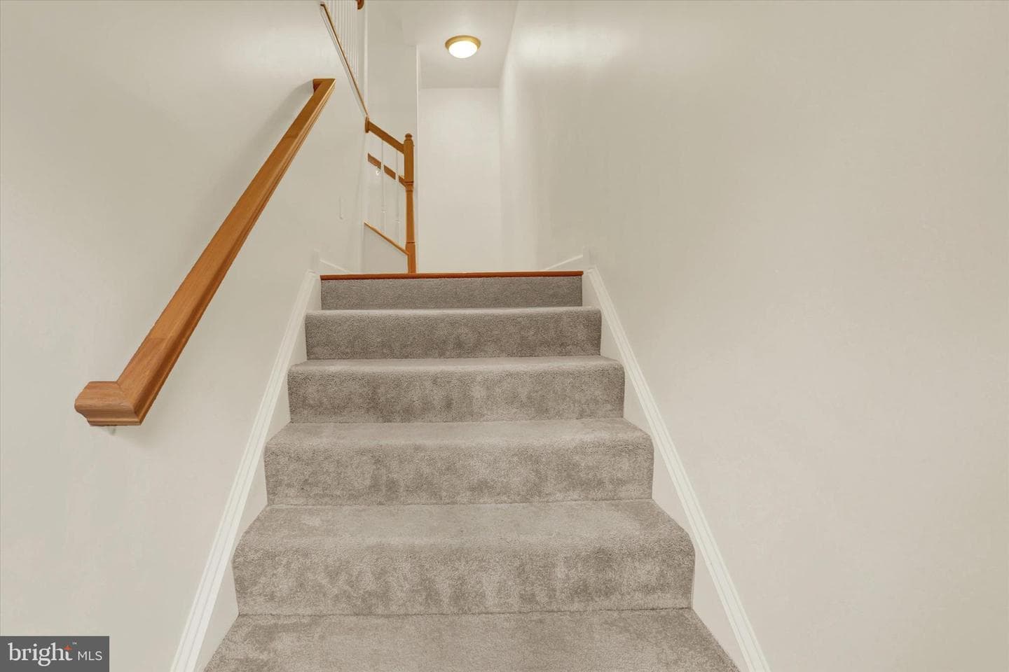 9089 Joyce Lane photo 7