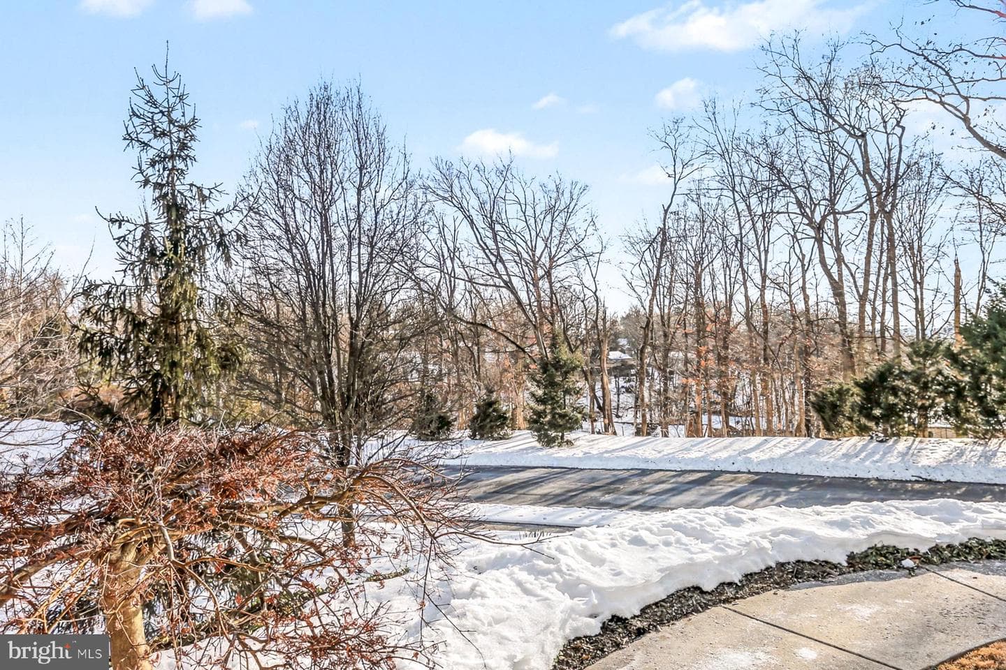 4528 Laurelwood Drive photo 45