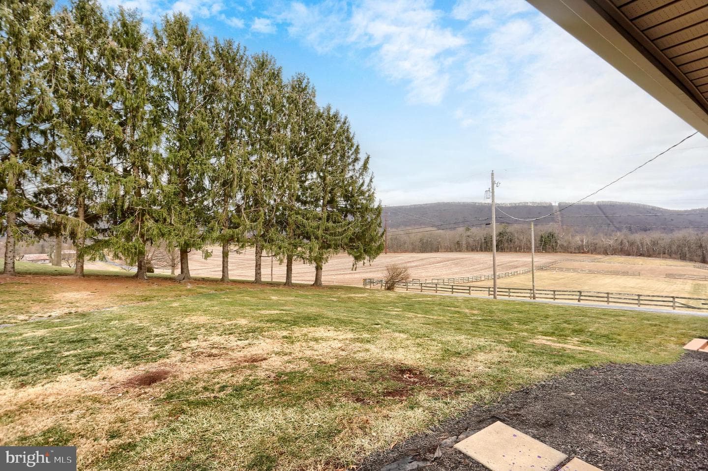 509 Shaffer Road photo 24