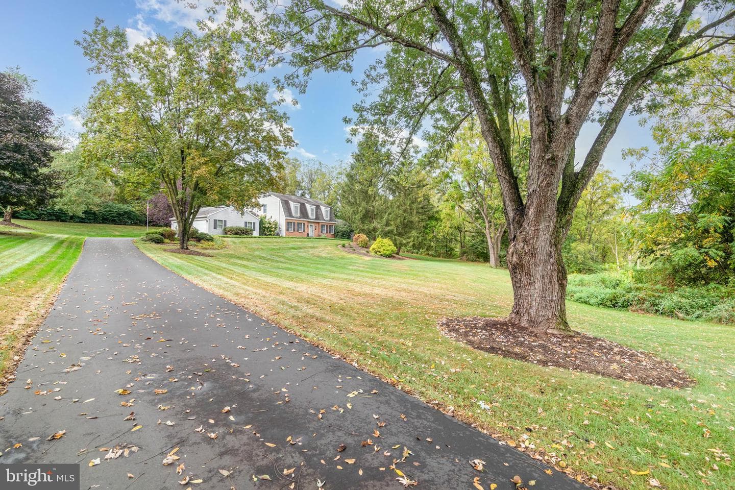 15 Bonnywick Drive photo 3