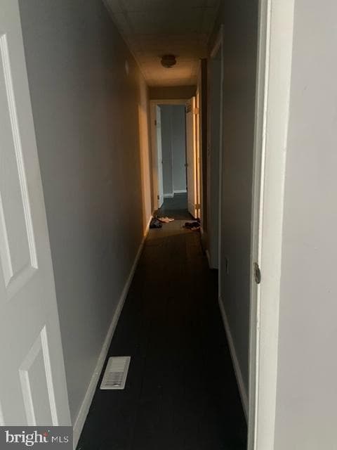 1713 Apricot Street photo 7