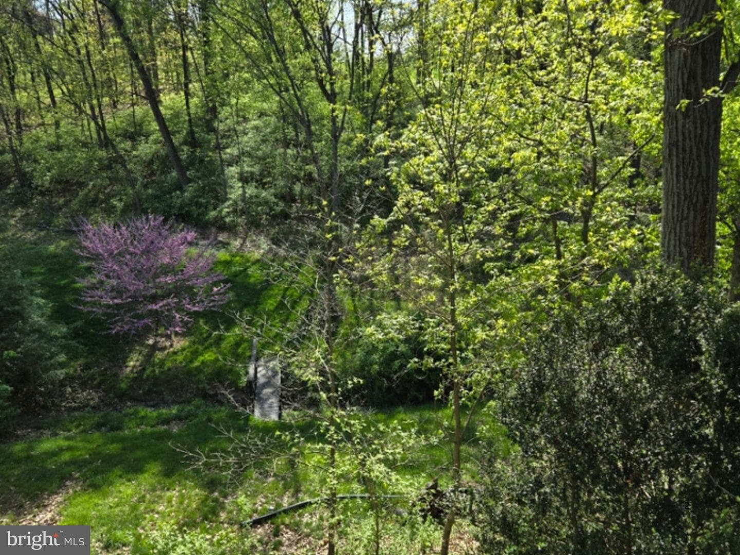 122 Wayne Drive photo 17