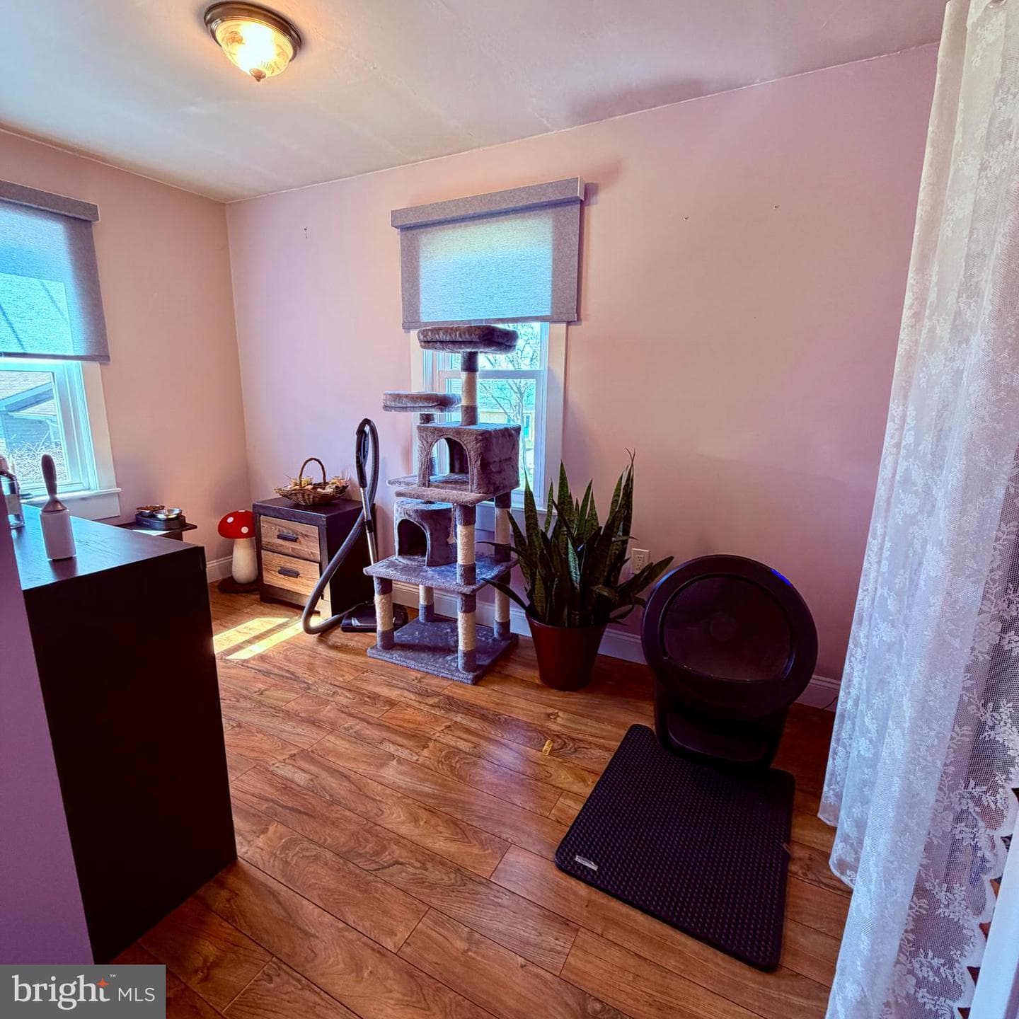 822 State Street photo 22