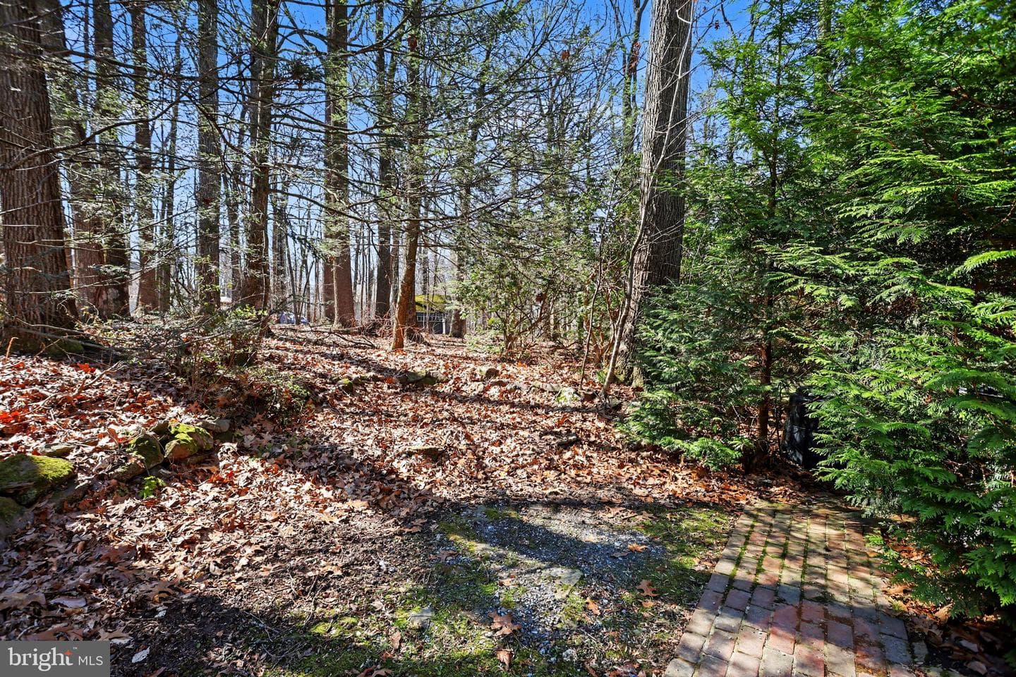 10 Dogwood Drive photo 34