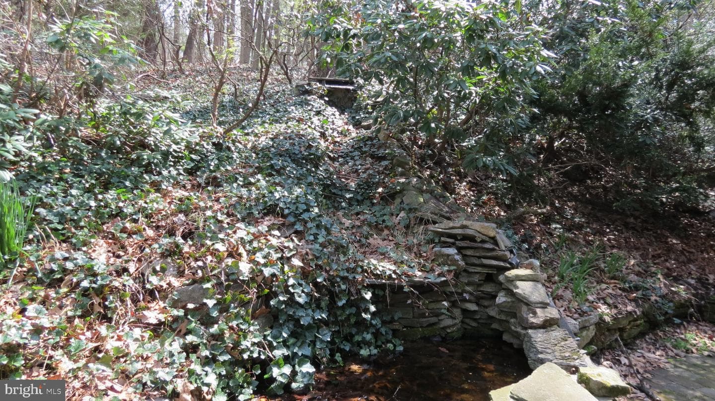 436 Laurel Drive photo 14