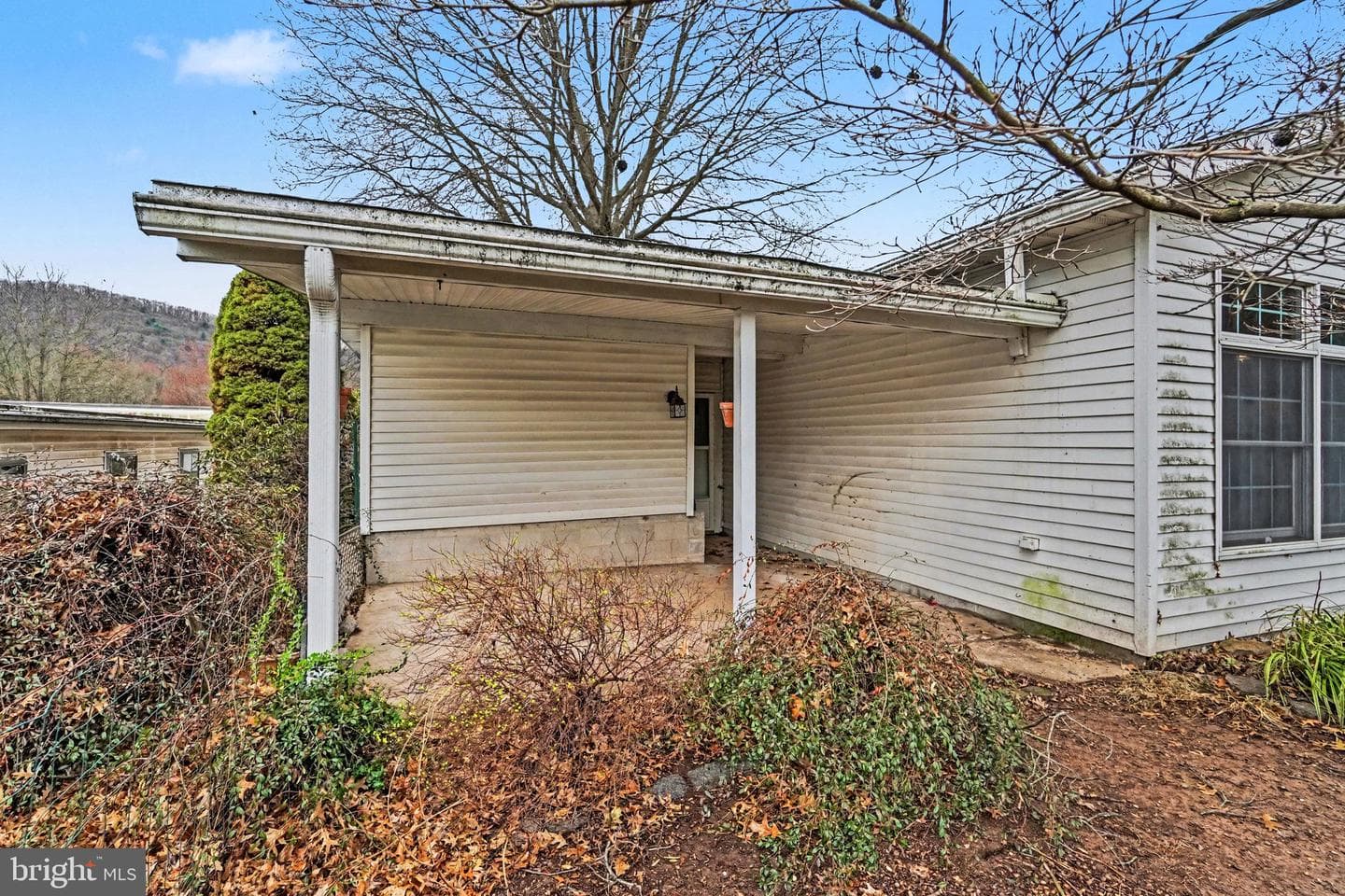 907 Meadow Lane photo 24