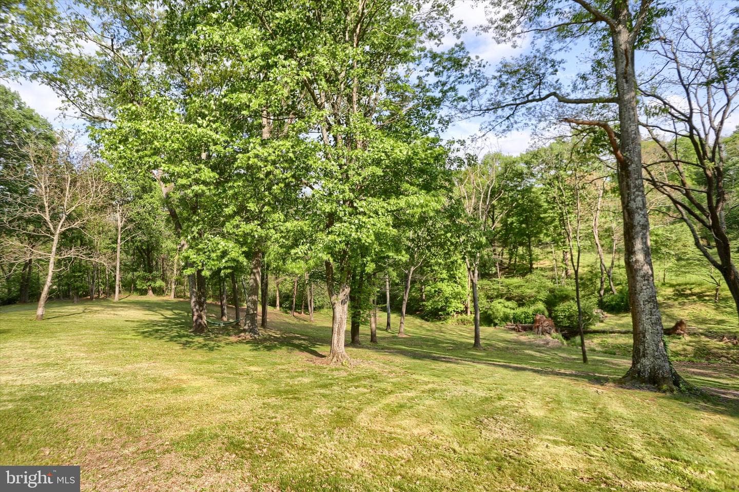 1401 La Carr Lane photo 39
