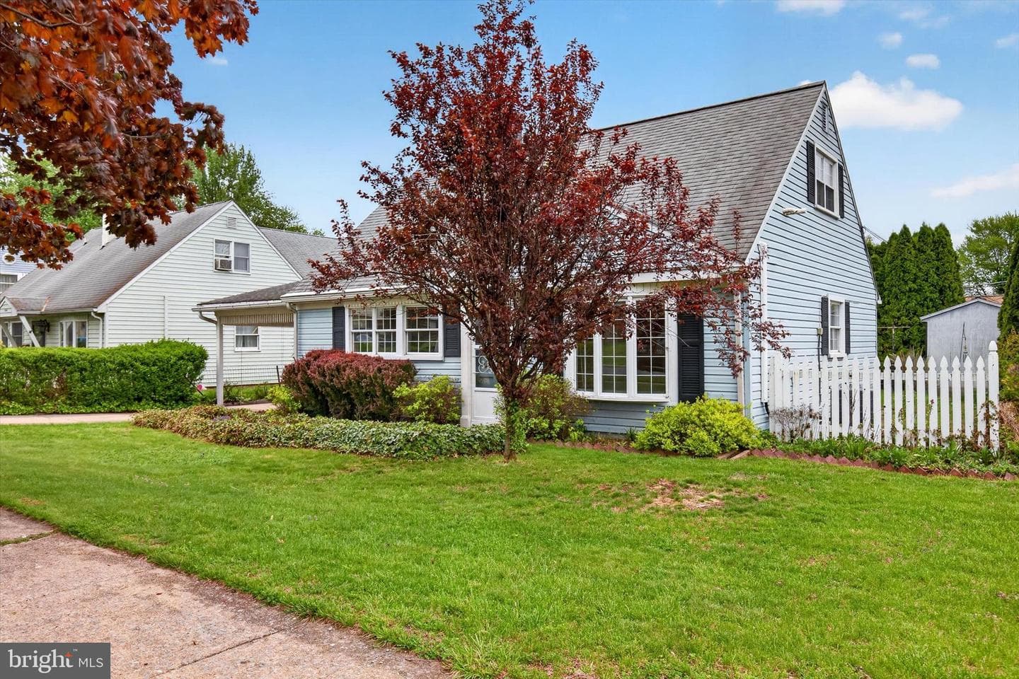 1036 Spruce Street photo 3